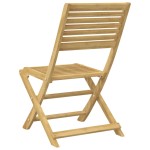 vidaXL Scaune grădină pliante 2 buc. 48,5x61,5x87 cm lemn masiv acacia vidaXL Scaune grădină pliante 2 buc. 48,5x61,5x87 cm lemn masiv acacia