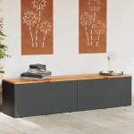 vidaXL Ladă depozitare grădină negru 220x50x54cm poliratan lemn acacia vidaXL Ladă depozitare grădină negru 220x50x54cm poliratan lemn acacia