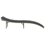 vidaXL Șezlong cu pernă, gri deschis, 55x199x50 cm, poliratan vidaXL Șezlong cu pernă, gri deschis, 55x199x50 cm, poliratan