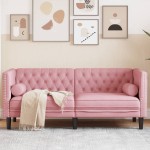 vidaXL Canapea Chesterfield cu pernuțe/2 locuri, roz, catifea vidaXL Canapea Chesterfield cu pernuțe/2 locuri, roz, catifea