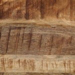 vidaXL Măsuțe de cafea suprapuse, 3 buc., lemn masiv mango brut/fier