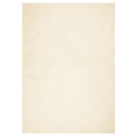 vidaXL Covor HUARTE, fir scurt, moale și lavabil, crem, 240x340 cm