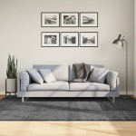 vidaXL Covor „OVIEDO”, fire scurte, antracit, 160x230 cm vidaXL Covor „OVIEDO”, fire scurte, antracit, 160x230 cm