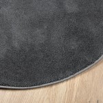 vidaXL Covor „OVIEDO”, fire scurte, antracit, Ø 120 cm vidaXL Covor „OVIEDO”, fire scurte, antracit, Ø 120 cm