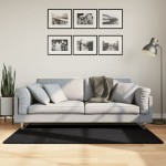 vidaXL Covor „OVIEDO”, fire scurte, negru, 80x150 cm vidaXL Covor „OVIEDO”, fire scurte, negru, 80x150 cm