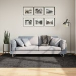 vidaXL Covor ISTAN, cu fire înalte, aspect lucios, antracit, 160x230cm vidaXL Covor ISTAN, cu fire înalte, aspect lucios, antracit, 160x230cm