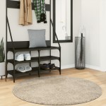 vidaXL Covor ISTAN, cu fire înalte, aspect lucios, bej, Ø 120 cm vidaXL Covor ISTAN, cu fire înalte, aspect lucios, bej, Ø 120 cm