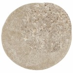 vidaXL Covor ISTAN, cu fire înalte, aspect lucios, bej, Ø 160 cm vidaXL Covor ISTAN, cu fire înalte, aspect lucios, bej, Ø 160 cm