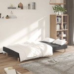 vidaXL Canapea extensibilă cu 2 locuri, gri închis, textil