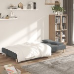 vidaXL Canapea extensibilă cu 2 locuri, 2 perne, gri închis, textil vidaXL Canapea extensibilă cu 2 locuri, 2 perne, gri închis, textil