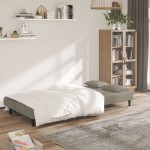 vidaXL Canapea extensibilă cu 2 locuri, 2 perne, gri deschis, catifea vidaXL Canapea extensibilă cu 2 locuri, 2 perne, gri deschis, catifea