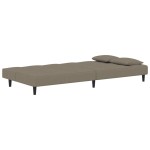 vidaXL Canapea extensibilă cu 2 locuri, 2 perne, gri deschis, catifea vidaXL Canapea extensibilă cu 2 locuri, 2 perne, gri deschis, catifea