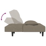 vidaXL Canapea extensibilă cu 2 locuri, 2 perne, gri deschis, catifea vidaXL Canapea extensibilă cu 2 locuri, 2 perne, gri deschis, catifea