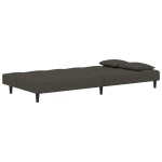 vidaXL Canapea extensibilă cu 2 locuri, 2 perne, gri închis, catifea vidaXL Canapea extensibilă cu 2 locuri, 2 perne, gri închis, catifea