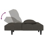vidaXL Canapea extensibilă cu 2 locuri, 2 perne, gri închis, catifea vidaXL Canapea extensibilă cu 2 locuri, 2 perne, gri închis, catifea
