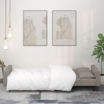 vidaXL Canapea extensibilă cu 2 locuri, 2 perne, gri deschis, catifea vidaXL Canapea extensibilă cu 2 locuri, 2 perne, gri deschis, catifea