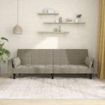 vidaXL Canapea extensibilă cu 2 locuri, 2 perne, gri deschis, catifea vidaXL Canapea extensibilă cu 2 locuri, 2 perne, gri deschis, catifea