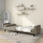 vidaXL Canapea extensibilă cu 2 locuri, 2 perne, gri deschis, catifea vidaXL Canapea extensibilă cu 2 locuri, 2 perne, gri deschis, catifea