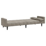 vidaXL Canapea extensibilă cu 2 locuri, 2 perne, gri deschis, catifea vidaXL Canapea extensibilă cu 2 locuri, 2 perne, gri deschis, catifea