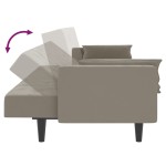 vidaXL Canapea extensibilă cu 2 locuri, 2 perne, gri deschis, catifea vidaXL Canapea extensibilă cu 2 locuri, 2 perne, gri deschis, catifea