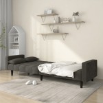 vidaXL Canapea extensibilă cu 2 locuri, 2 perne, gri închis, catifea vidaXL Canapea extensibilă cu 2 locuri, 2 perne, gri închis, catifea
