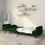 vidaXL Canapea extensibilă cu 2 locuri, 2 perne, verde închis catifea vidaXL Canapea extensibilă cu 2 locuri, 2 perne, verde închis catifea