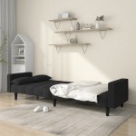 vidaXL Canapea extensibilă cu 2 locuri, 2 perne, negru, catifea vidaXL Canapea extensibilă cu 2 locuri, 2 perne, negru, catifea