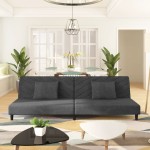 vidaXL Canapea extensibilă cu 2 locuri, 2 perne, gri închis, catifea vidaXL Canapea extensibilă cu 2 locuri, 2 perne, gri închis, catifea
