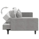 vidaXL Canapea extensibilă cu 2 locuri, 2 perne, gri deschis, catifea vidaXL Canapea extensibilă cu 2 locuri, 2 perne, gri deschis, catifea