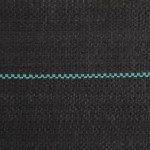 vidaXL Membrană antiburuieni, negru, 0,5x100 m, PP