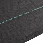 vidaXL Membrană antiburuieni, negru, 2x150 m, PP