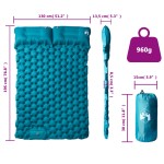 vidaXL Saltea de camping auto-gonflabilă cu perne, 2 persoane albastru
