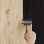 vidaXL Vopsea pentru lemn Negru 16,5 x 16,5 x 16 cm Print pe perete