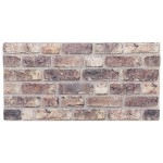 vidaXL Panouri de perete 3D, 10 buc., maro închis, 100x50 cm, EPS vidaXL Panouri de perete 3D, 10 buc., maro închis, 100x50 cm, EPS