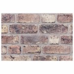 vidaXL Panouri de perete 3D, 10 buc., maro închis, 100x50 cm, EPS vidaXL Panouri de perete 3D, 10 buc., maro închis, 100x50 cm, EPS