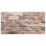 vidaXL Panouri de perete 3D, 10 buc., maro, 100x50 cm, EPS vidaXL Panouri de perete 3D, 10 buc., maro, 100x50 cm, EPS