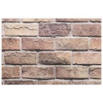 vidaXL Panouri de perete 3D, 10 buc., maro, 100x50 cm, EPS vidaXL Panouri de perete 3D, 10 buc., maro, 100x50 cm, EPS
