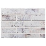 vidaXL Panouri de perete 3D, 10 buc., gri deschis, 100x50 cm, EPS vidaXL Panouri de perete 3D, 10 buc., gri deschis, 100x50 cm, EPS