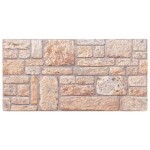 vidaXL Panouri de perete 3D, 10 buc., maro, 100x50 cm, EPS