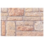 vidaXL Panouri de perete 3D, 10 buc., maro, 100x50 cm, EPS