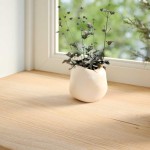 vidaXL Pervaz 2 buc lemn masiv de stejar netratat 90x25x2 cm vidaXL Pervaz 2 buc lemn masiv de stejar netratat 90x25x2 cm