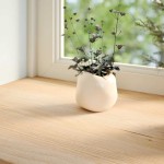 vidaXL Pervaz 2 buc lemn masiv de stejar netratat 160x25x2 cm vidaXL Pervaz 2 buc lemn masiv de stejar netratat 160x25x2 cm