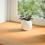 vidaXL Pervaz 2 buc lemn masiv de maro deschis 100x15x2 cm vidaXL Pervaz 2 buc lemn masiv de maro deschis 100x15x2 cm