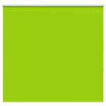vidaXL Jaluzea cu role opace 155x130 cm Lățime material 151,6 cm vidaXL Jaluzea cu role opace 155x130 cm Lățime material 151,6 cm