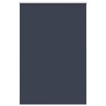 vidaXL Jaluzea cu role opace 145x210 cm Lățime material 141,6 cm vidaXL Jaluzea cu role opace 145x210 cm Lățime material 141,6 cm