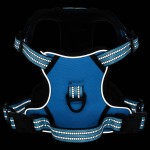 vidaXL Ham pentru câini cu dungi reflectorizante reglabil, albastru, S vidaXL Ham pentru câini cu dungi reflectorizante reglabil, albastru, S