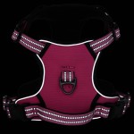 vidaXL Ham pentru câini cu dungi reflectorizante reglabil, roz, S vidaXL Ham pentru câini cu dungi reflectorizante reglabil, roz, S