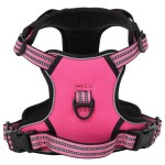 vidaXL Ham pentru câini cu plumb și guler, reglabil, roz, M vidaXL Ham pentru câini cu plumb și guler, reglabil, roz, M
