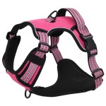 vidaXL Ham pentru câini cu plumb și guler, reglabil, roz, XL vidaXL Ham pentru câini cu plumb și guler, reglabil, roz, XL