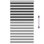 vidaXL Jaluzea tip zebra neagră lățime țesătură 120,9 cm poliester